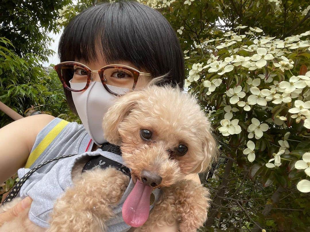 時東ぁみのインスタグラム