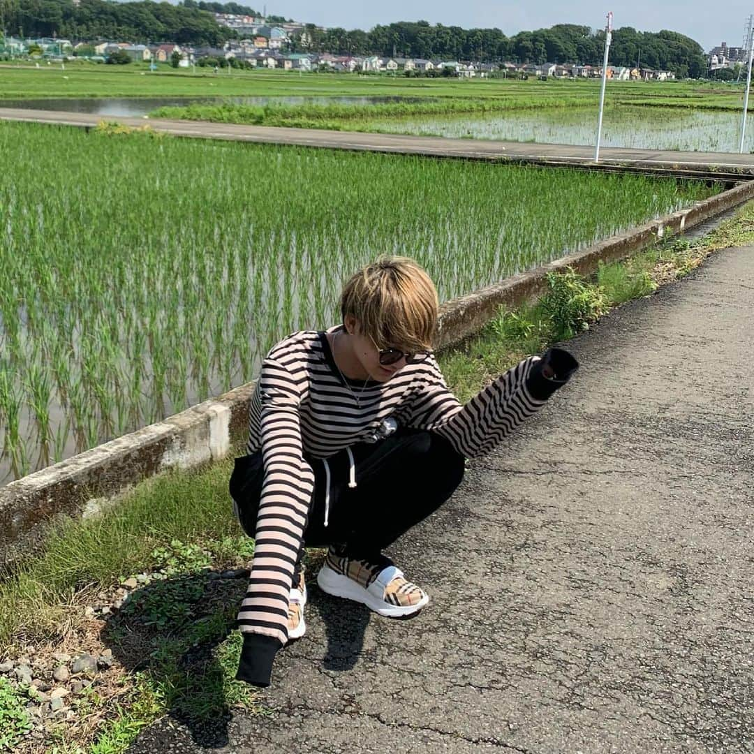 EZAKI YOSHIKIのインスタグラム：「田んぼ🌾キレイ」