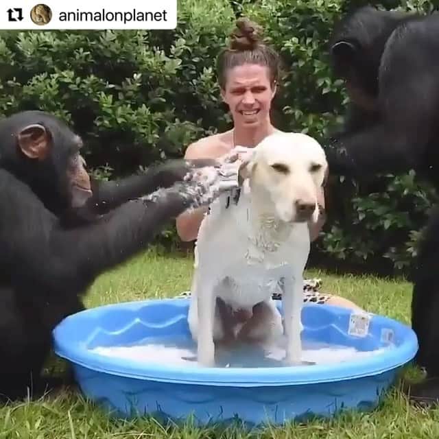 こーいちのインスタグラム：「一緒に銭湯行きたくなる動画。」