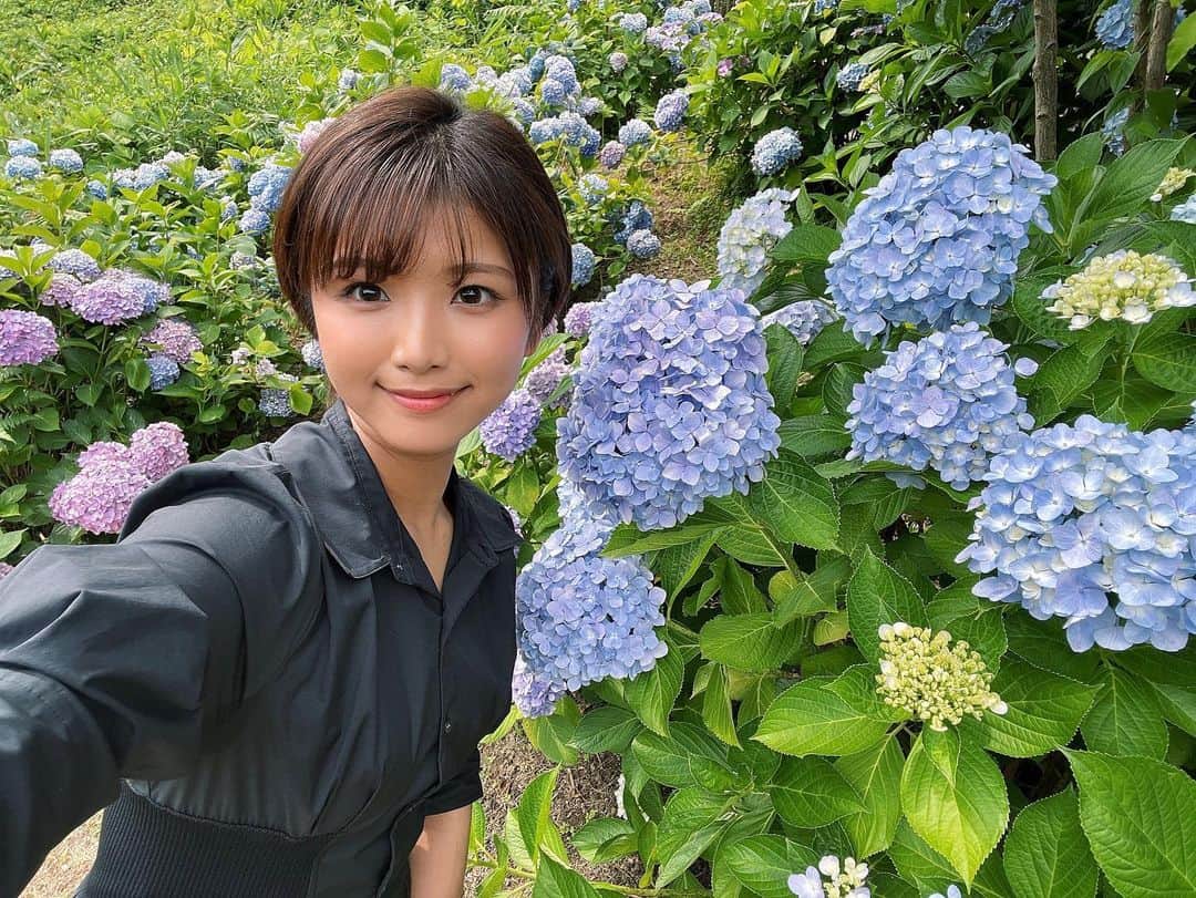 山本ゆうかさんのインスタグラム写真 - (山本ゆうかInstagram)「紫陽花が全部写るから広角カメラよい。  #紫陽花　#蜻蛉池公園 #あじさい #紫陽花祭り #ショートカット #ショートヘア #フレイアイディー #flayid」6月18日 1時43分 - yuukarin.yama
