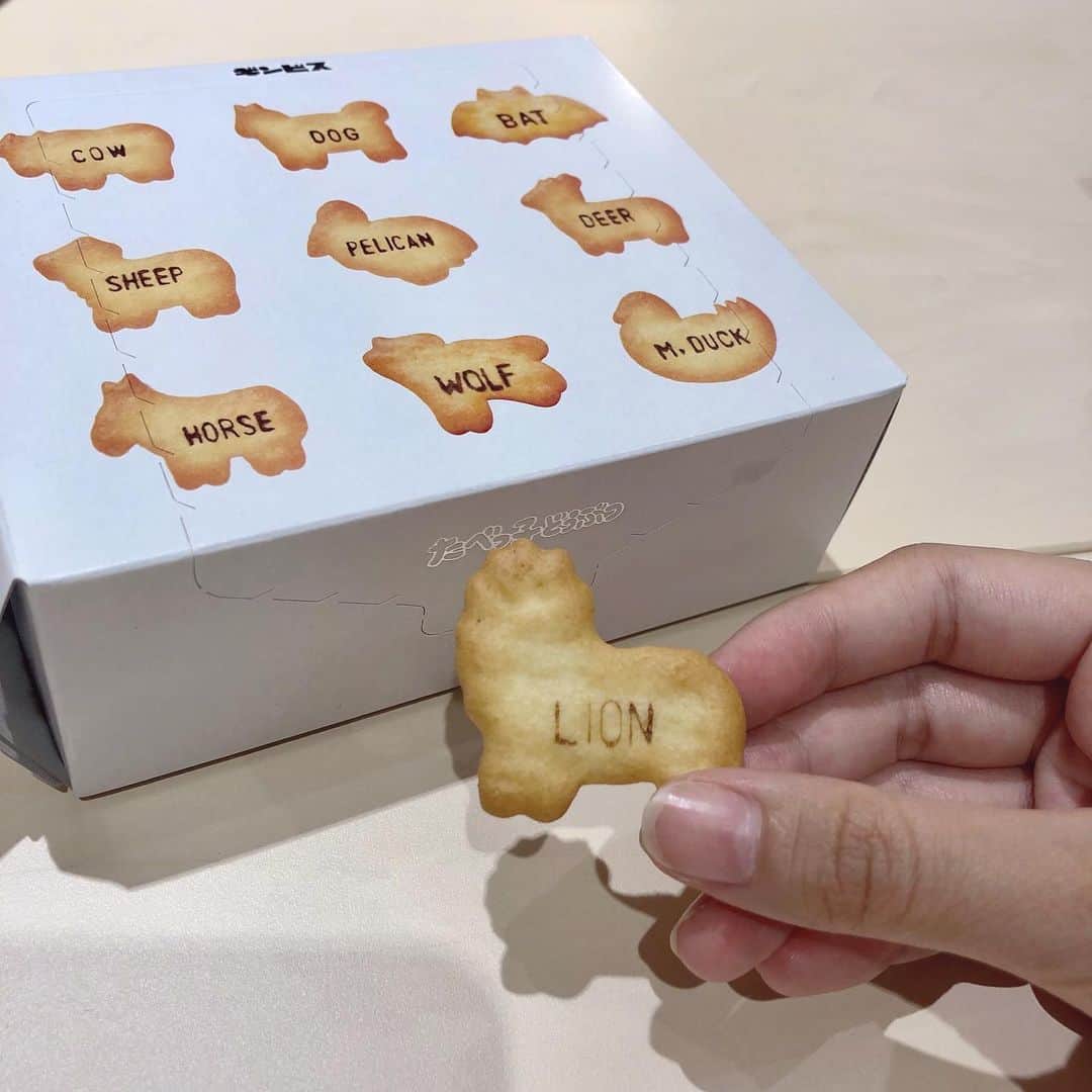 薮下楓のインスタグラム：「差し入れでいただいたたべっ子どうぶつ！🦁 かわいい」
