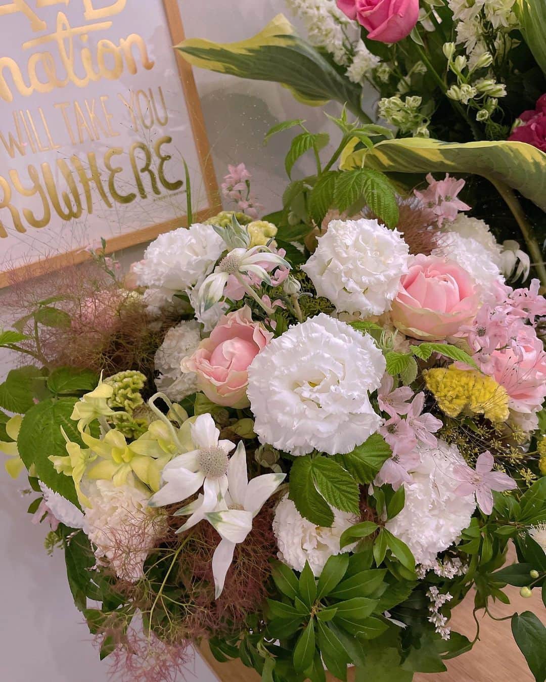 SEIRAさんのインスタグラム写真 - (SEIRAInstagram)「@8vaalta 展示会で皆様から頂いたお花たち💐🌹 今日も元気に咲いています。 ありがとうございます🌷𓈒𓂂𓏸」6月18日 23時35分 - official.seira