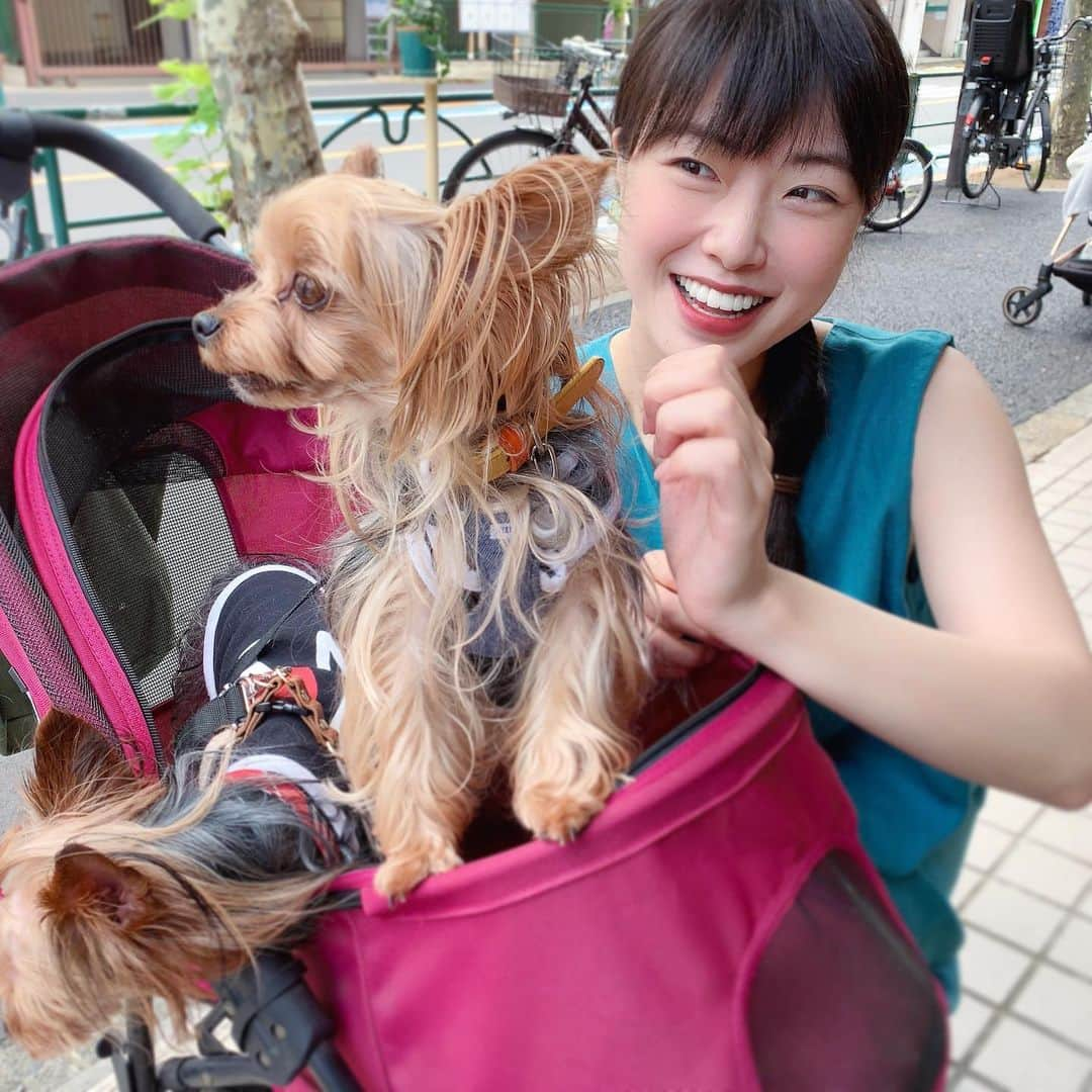 小田飛鳥さんのインスタグラム写真 - (小田飛鳥Instagram)「一緒にお出掛けカフェ☕︎ お天気も良くてそこまで暑く無くて気持ち良かったね〜！ #dog #dogstagram #犬のいる暮らし #愛犬 #くぅももちゃん」6月18日 14時44分 - asuka_oda_0320