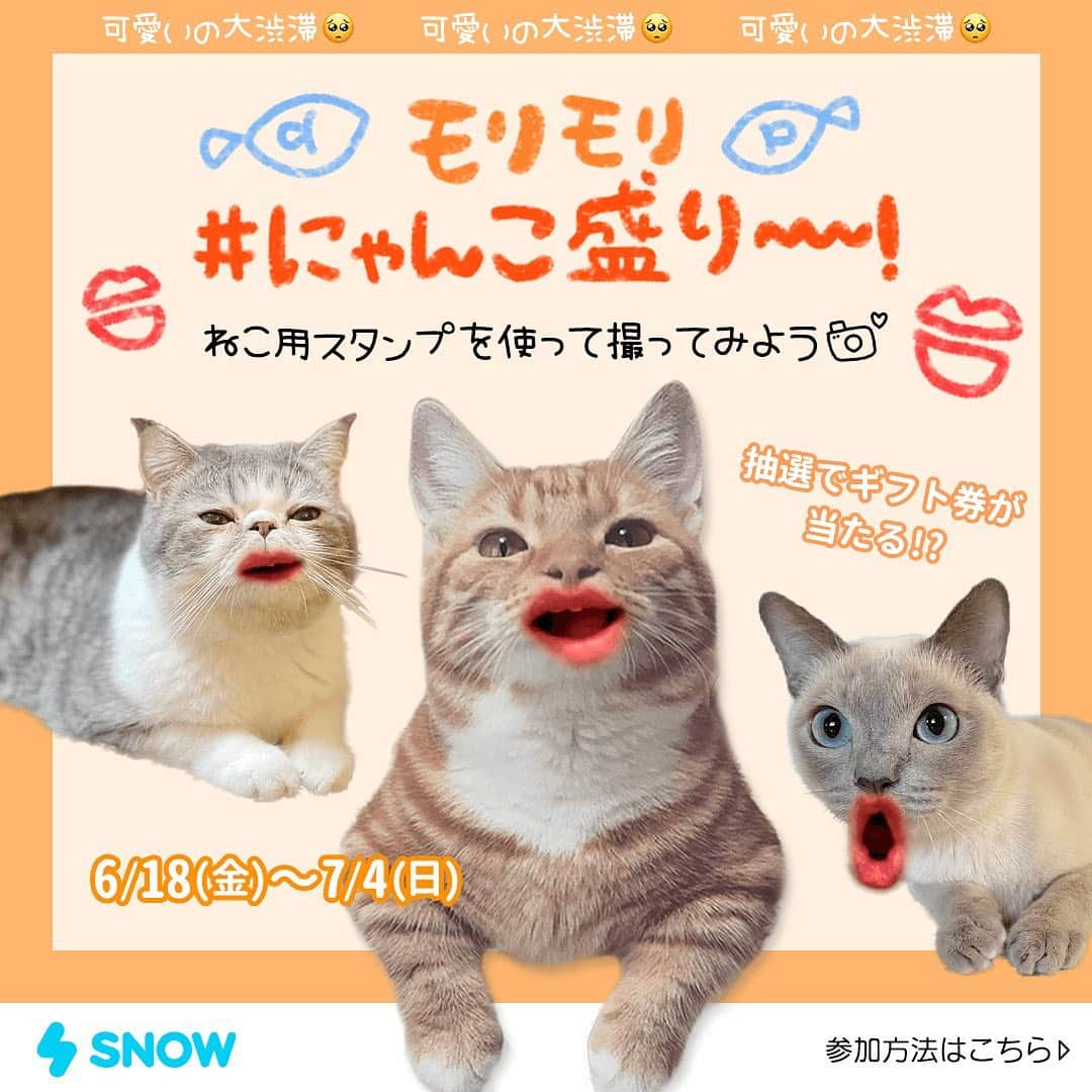 「SNOW」顔認識カメラアプリのインスタグラム