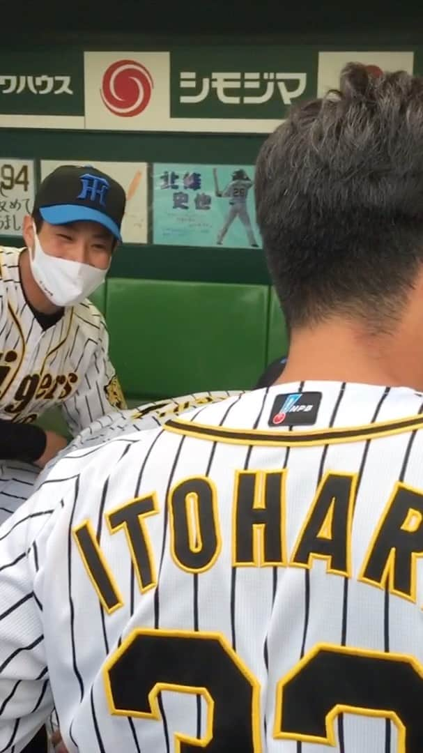 阪神タイガースのインスタグラム