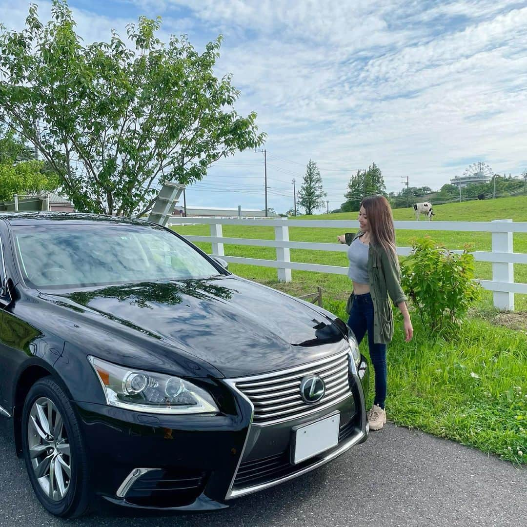 REINAさんのインスタグラム写真 - (REINAInstagram)「空と牛と車とわい🐄🚘 . この前念願のマザー牧場行ってきたよー🤍好きな物で溢れてる空間🐏🤍 . . . . #マザー牧場 #ドライブ #牧場 #牧場が好き #牛さん #草原 #青空 #自然が好き #車好き女子 #愛車と私 #レクサス #ls460 #レクサスls #セダン女子」6月18日 18時26分 - reina_partyon