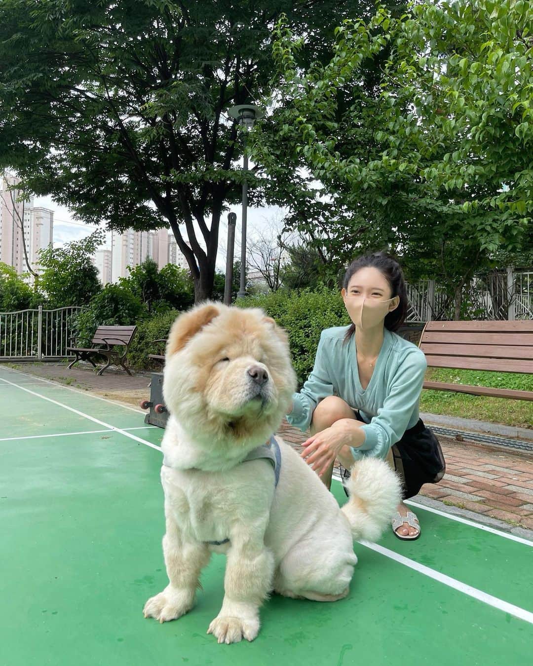 キム・ミニさんのインスタグラム写真 - (キム・ミニInstagram)「요즘 누나들이 청순이 근황  안 궁금해 하는것 같대요  서운하다고 자기 사진 좀 올리래요 옆에서 피드 언제 올리나 지켜보고 있어요  #청순일기 #대왕껌딱지」6月18日 19時06分 - mimiwor