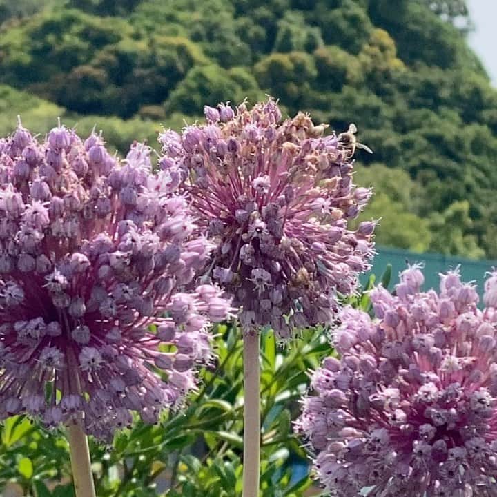 内田滋のインスタグラム：「#素晴らしい場所に来れました」