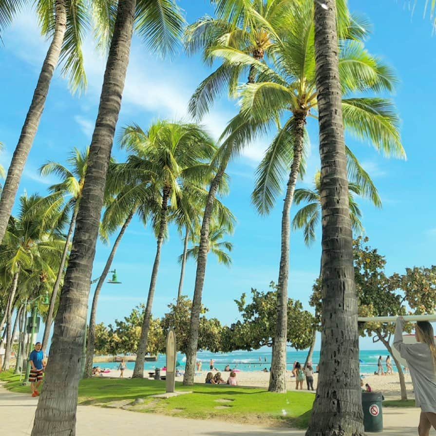 マキ・コニクソンさんのインスタグラム写真 - (マキ・コニクソンInstagram)「Good morning from Hawaii!!🌺🌺 お天気サイコー！ハワイ最高！🤙🏼 帰って来る所がハワイって贅沢。  ハワイの空気を吸って ここにいるだけでたくさん パワーチャージできる！💪🏼  今日も感謝の気持ちを忘れないで 初心に戻ってスタートします！🙏🏻  今の自分があるのは 全て周りの人のお陰、 やっぱり人様に感謝しかない。 自分1人では何も出来ないからね。  今日も初心忘れず自分に喝を入れて 頑張ります！💪🏼  #エアハワイ🌺  #ハワイのおすそ分け🤙🏼  #感謝の心 #初心忘るべからず」6月19日 8時55分 - makikonikson