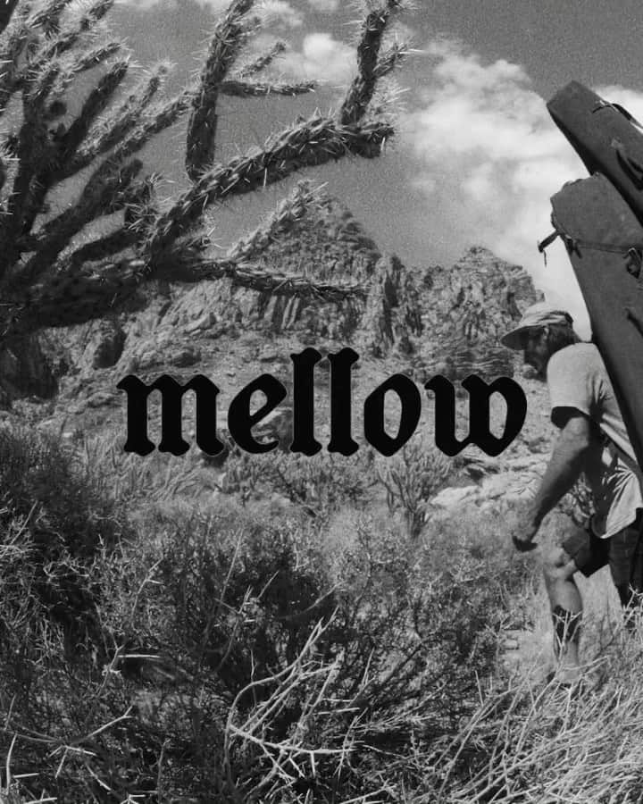 のインスタグラム：「“Return of the Sleepwalker”- 6/21  Film by @bobbysorich  Get ready to rage 😈🔥  @mellowclimbing  @thenorthface  @evolv_worldwide  @organicclimbing  @celsiusofficial  @frictionlabs」