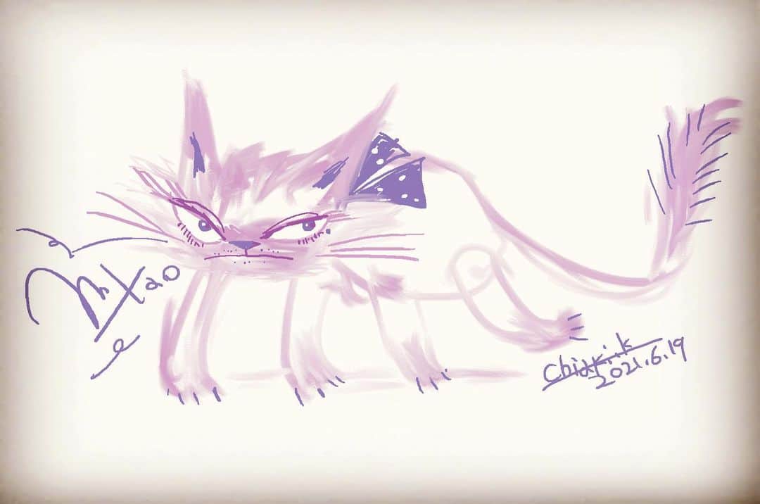 チアキコハラのインスタグラム：「喧嘩しないのがいちばんいいよね🌙 . #artist #cats #purplehair #雨の夜 #illustration #artwork #purple #☔️#らくがき #おやすみおはよう」