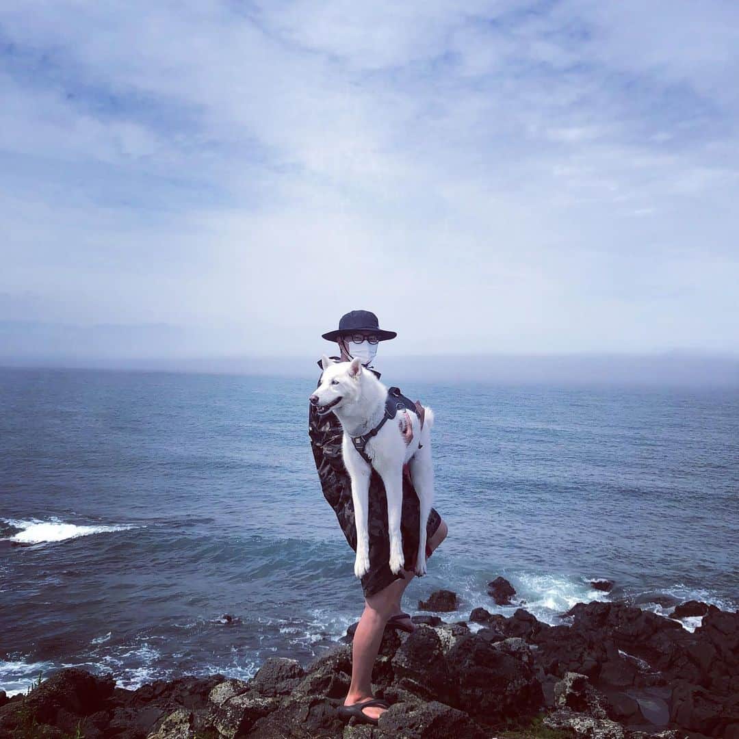 ホン・ジョンヒョンのインスタグラム：「충성 사랑합니다. 돌아보니 행복한 군 생활을 했습니다. 좋은 사람들을 만나 추억도 만들고, 값진 경험을 하고 건강히 전역했습니다. 많은 분들에게 감사합니다. 덕분에 군 생활 잘 마칠 수 있었습니다. 감사합니다. 충성 사랑합니다.」