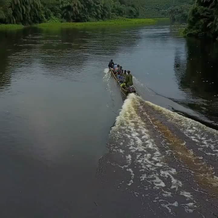 thephotosocietyのインスタグラム：「Video by @thomas.nicolon // Cruising up the Luile river, Salonga National Park, Democratic Republic of Congo. As remote as it gets. // Follow me @thomas.nicolon for more photos and videos from the Congo basin.  #droneforest #salonga #congo #nationalpark #protectedareas #drc #remoteplaces」