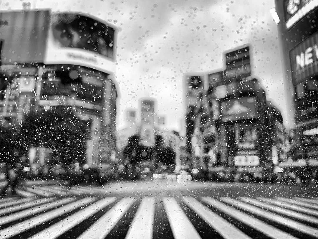 井浦新さんのインスタグラム写真 - (井浦新Instagram)「渋谷雨景 #東京 #交差点」6月19日 13時55分 - el_arata_nest
