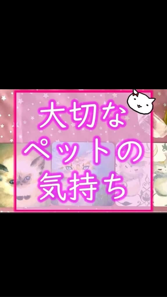 岩政久美子のインスタグラム：「ショートにチャチャっとですが、 まあまあ語ってしまいました🦭笑 リーディングよろしくです🦭✨  ロングバージョンはYouTubeへ 上がっております。  https://youtu.be/zYfxQKVnJgs  #ペット気持ち #タロットリーディング #霊感タロット #占い」