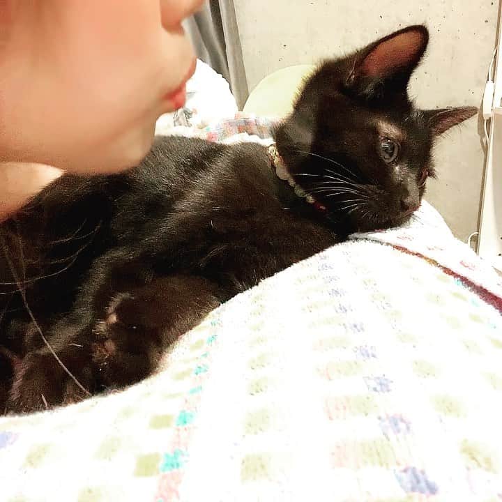 青木りんのインスタグラム：「I love cat my family 🐈‍⬛  毎日ペロペロ攻撃👅 痛いけど愛おしい。   #kitt_black   #japanesegirl   #japanese」