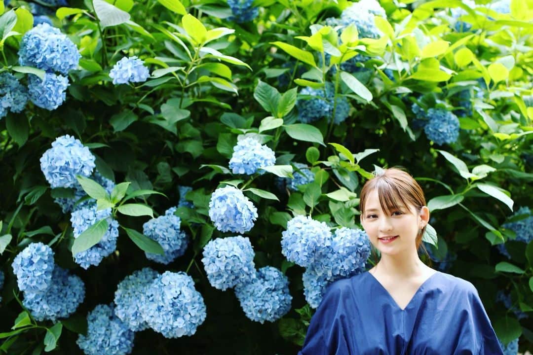 鈴木咲さんのインスタグラム写真 - (鈴木咲Instagram)「紫陽花🌼」6月19日 19時11分 - sakisuzuki1103