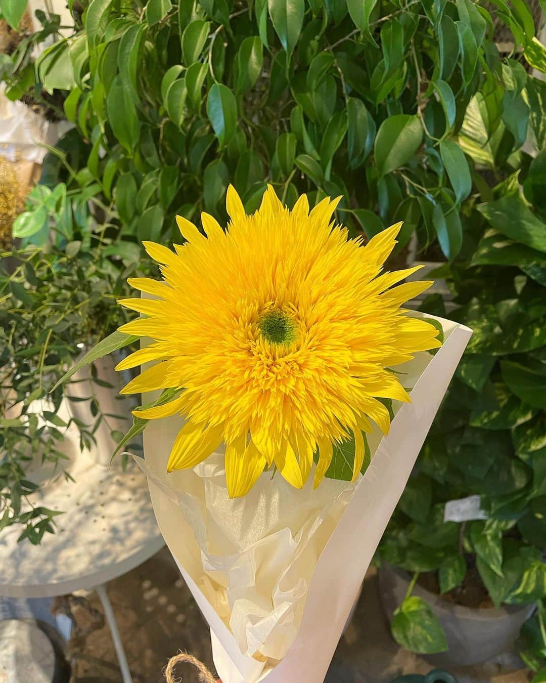 ミン・ヒョリンのインスタグラム：「🌻아빠랑 길을 걷다가 사주신꽃🌻」