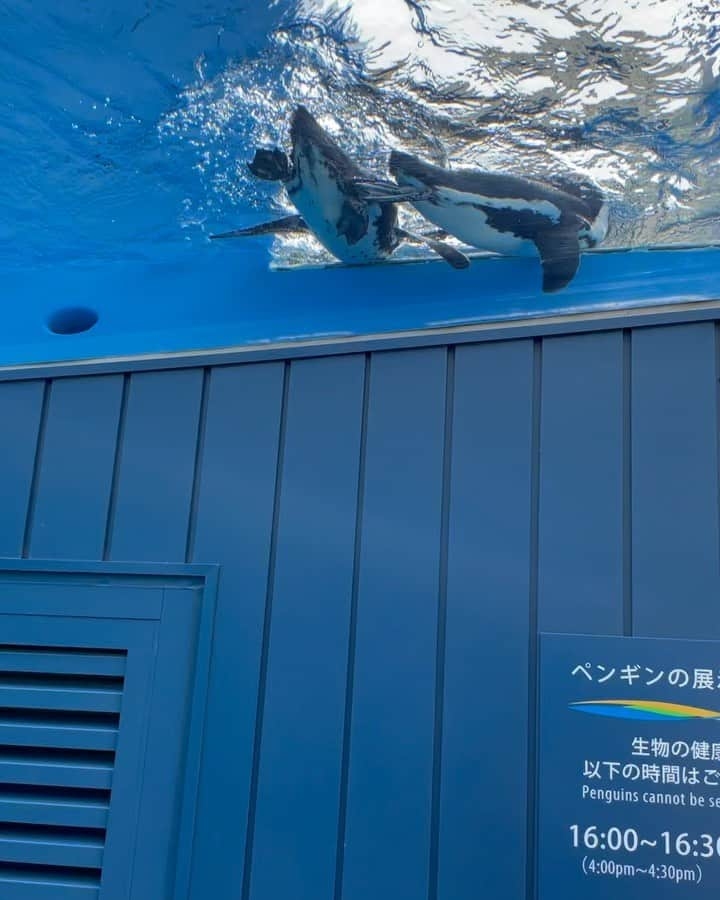 石橋遼大（四千頭身）のインスタグラム