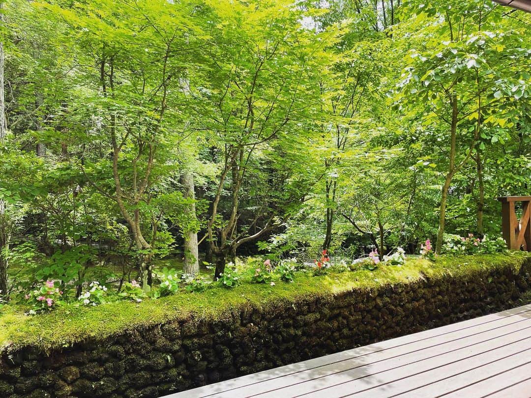 のインスタグラム：「🍀💚  #森林浴#充電」