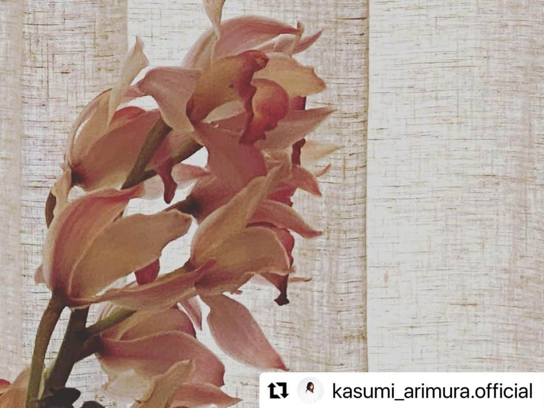 コントが始まるのインスタグラム：「❤️ #有村架純 @kasumi_arimura.official ・・・ この作品に、キャストスタッフの皆さんに、とても救われました。観てくださった皆様、一緒に泣いたり、笑ったり。本当にありがとうございました☺️#コントが始まる」