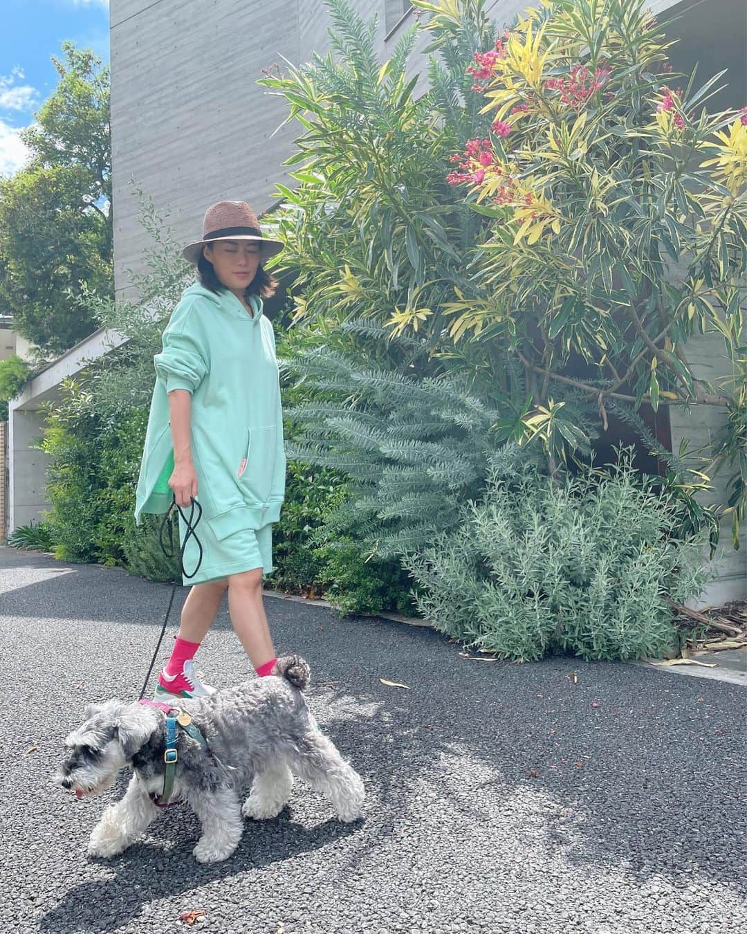 HiRAO INCのインスタグラム：「. MINT GREEEEEN  フーディ大好き 微妙な違いで全然ちがう  マイランのフーディはサイドスリットが深くて 色がキレイ、丈の長さもよし スリットがあるから、デニムやパンツに合わせても スタイル良く見えます。 セットアップもかわいい。 パンツの丈、ストレートで落ちる感じも上品 もちろんポケットもある 絶妙です 色違いで白も購入決定❤️  Tops & pants #mylan  Hat #helenkaminski」