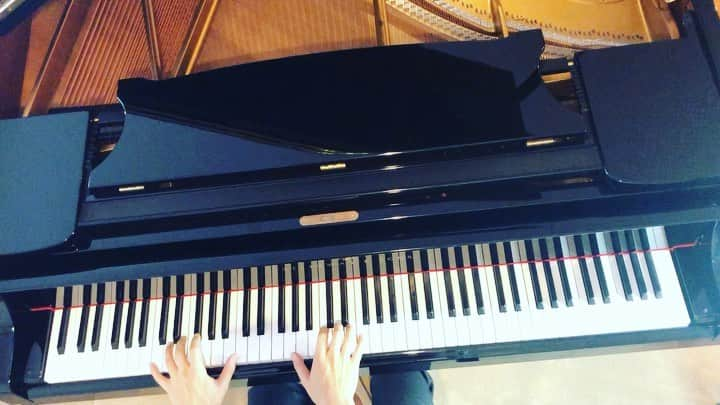 金子三勇士のインスタグラム：「Full video on YouTube! Search for "Miyujik Official" #Debussy #piano #classicalmusic #pianist #SteinwayArtist #MiyujiKaneko #ドビュッシー #ピアノ #ピアニスト #金子三勇士 #ピアノ曲 #YouTube #doctorgradusadparnassum」