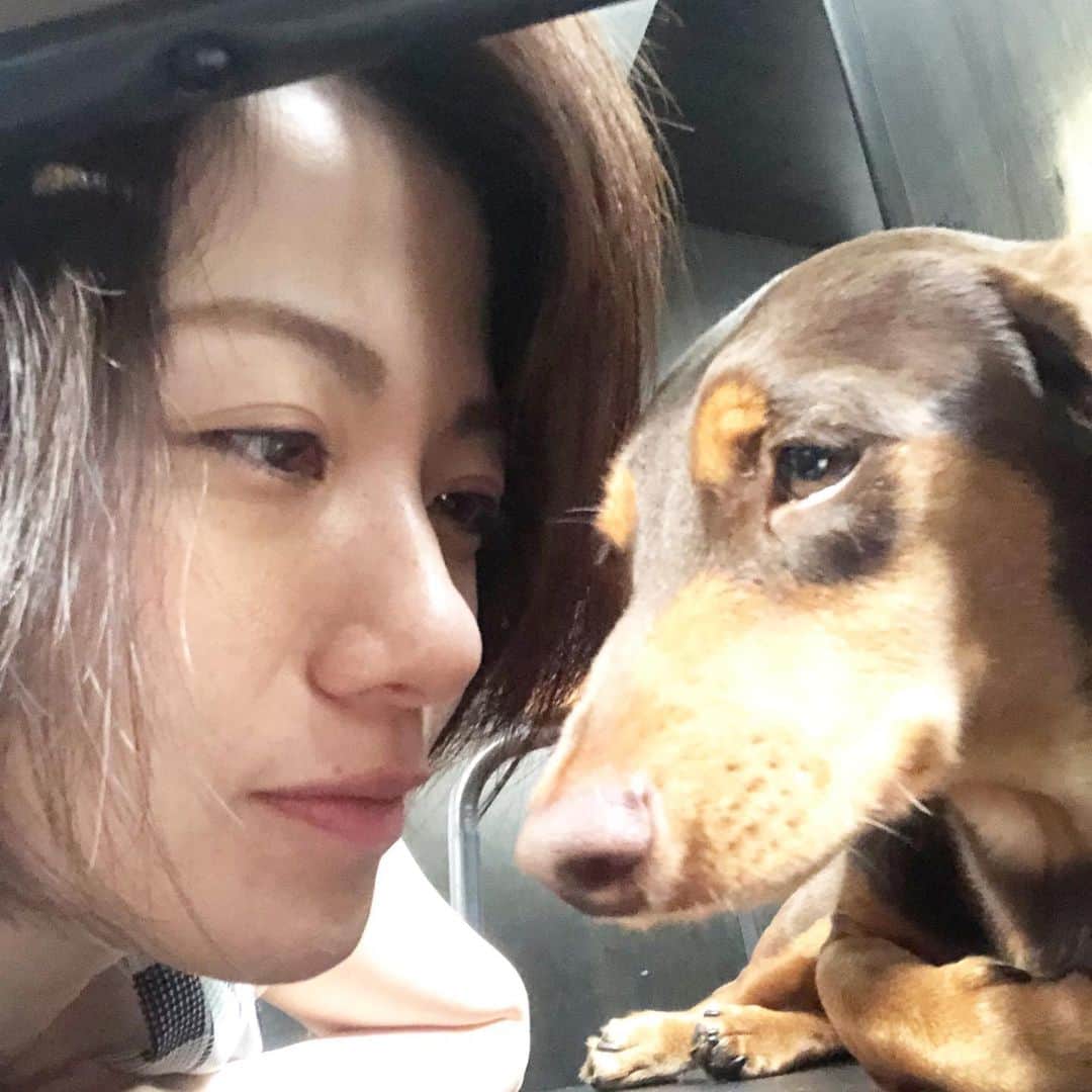 梅津弥英子さんのインスタグラム写真 - (梅津弥英子Instagram)「☺︎ るーくです。じめじめしたきせつですね。みなさんおげんきですか？ボクはよくねむたいの？ってきかれる。しゃっきりめがさめていても、ゲンキいっぱいの日でも、ねむたいの？って。「お母さんににて、タレ目だからしかたがないよ。」ってお母さんは言う。たしかに、いえにいるすっぴんのお母さんは、いつもいつでもねむそうにみえる。おやこだね。 #るーくです #つゆ #ボクは元気です」6月20日 17時17分 - yaeko.umezu