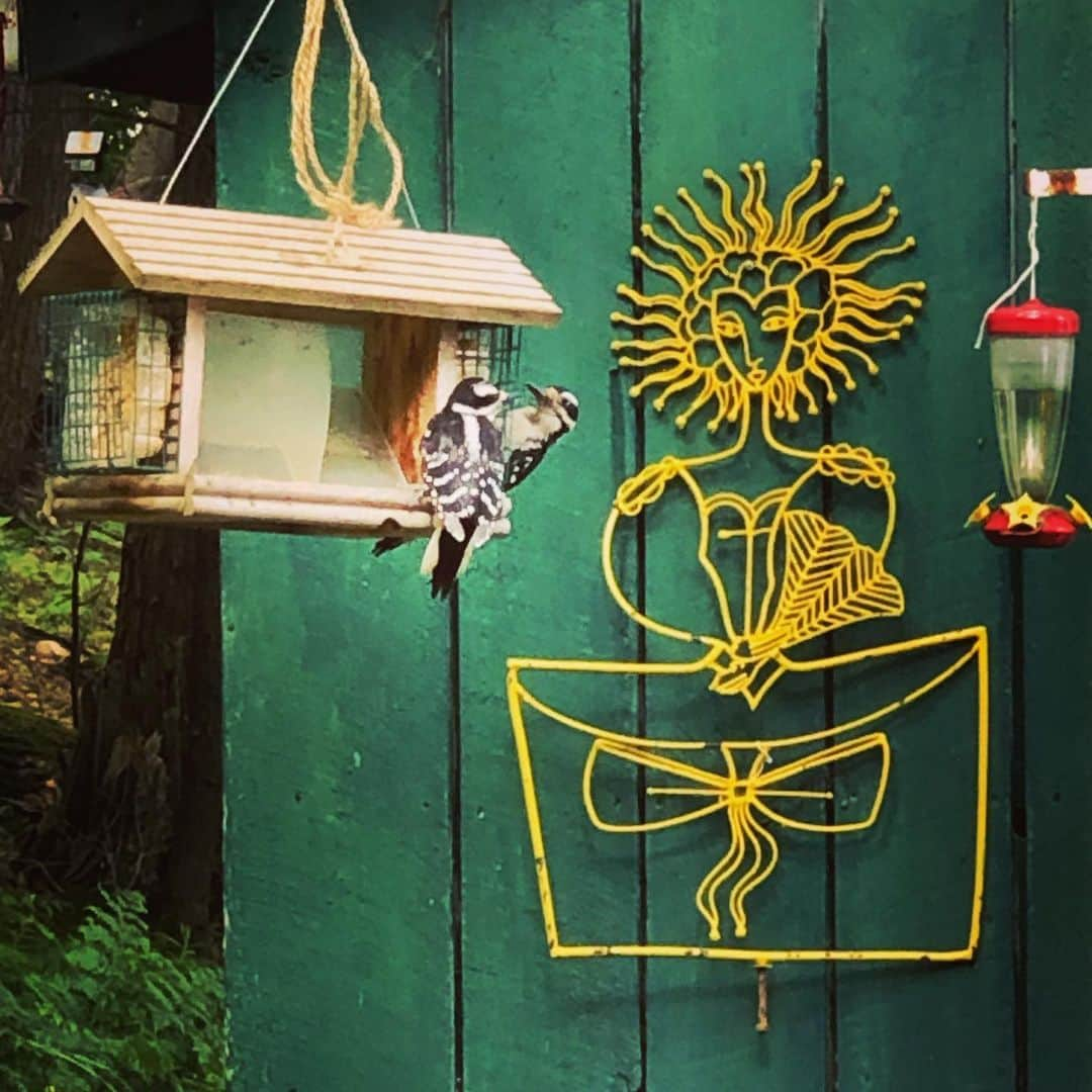 ブライアン・オーサーのインスタグラム：「Enjoying simple nature at the cottage.  Take a moment and look around. Breathe!」