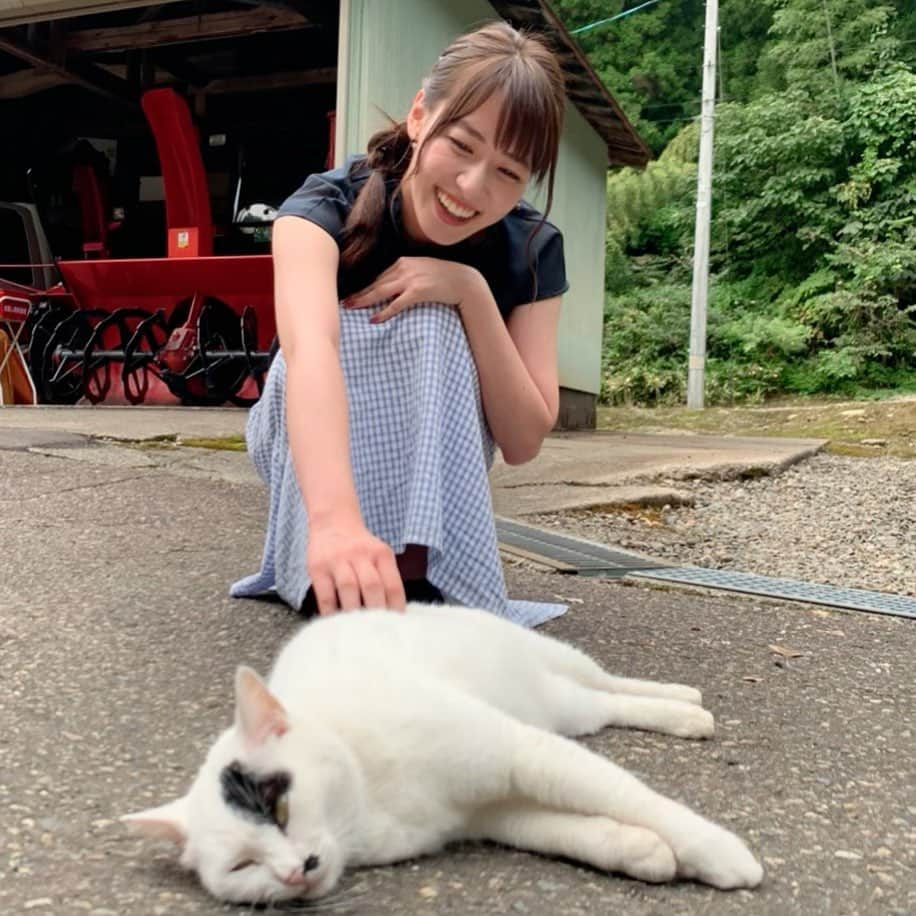 大西遥香さんのインスタグラム写真 - (大西遥香Instagram)「. 29歳になりました！！ 沢山のお祝いメッセージありがとうございます🎂💗  20代ラスト！！ということで これまで以上にパワフルに 悔いのないように駆け抜けたいなと思ってます🙋‍♀️  みなさま、これからも引き続きよろしくお願いします💌  #6月20日 #誕生日 #29歳になりました #20代ラスト #目標 #仕事も #プライベートも #妥協しない #新潟 #7年目 #楽しむ #写真は #いつかの #にゃんこ #🐈」6月20日 23時41分 - hrka_onsh