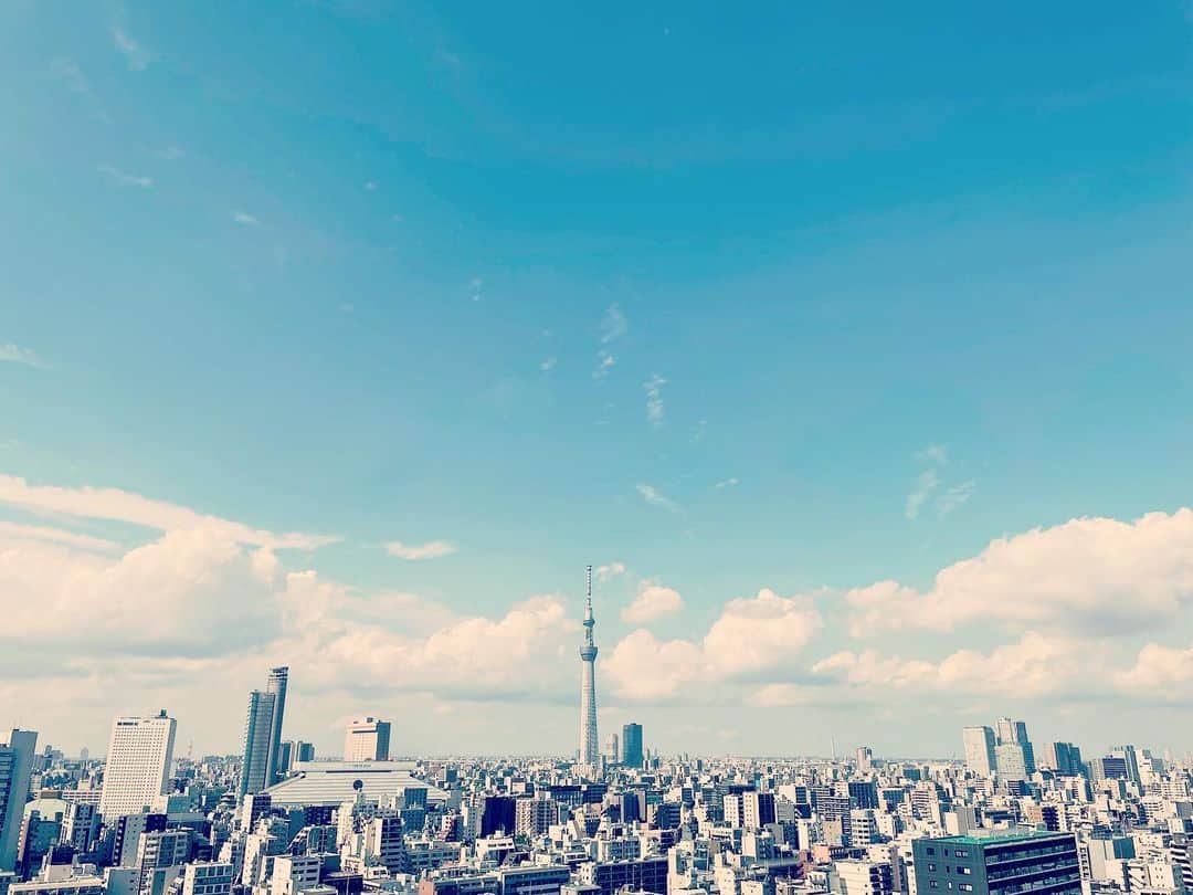 猫沢エミさんのインスタグラム写真 - (猫沢エミInstagram)「美しき夏至の空。  蒼を補給だ✨  ユピ坊は、風の吹くベランダでくまこちゃんとお昼寝です。  #東京下町時間　#ユピ坊　#この一瞬一瞬が永遠になるのよ」6月21日 15時45分 - necozawaemi