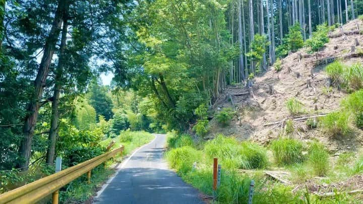 田中みかんのインスタグラム：「田舎の初夏をお届け🍃 こんな感じの田舎道を抜けたとこに美味しい蕎麦屋さんがあるよ！  #重兵衛茶屋   #下関グルメ  #下関ランチ   #下関観光」