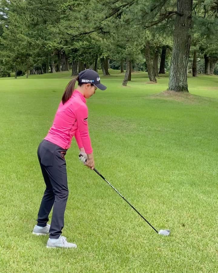 竹村真琴のグルメインスタ