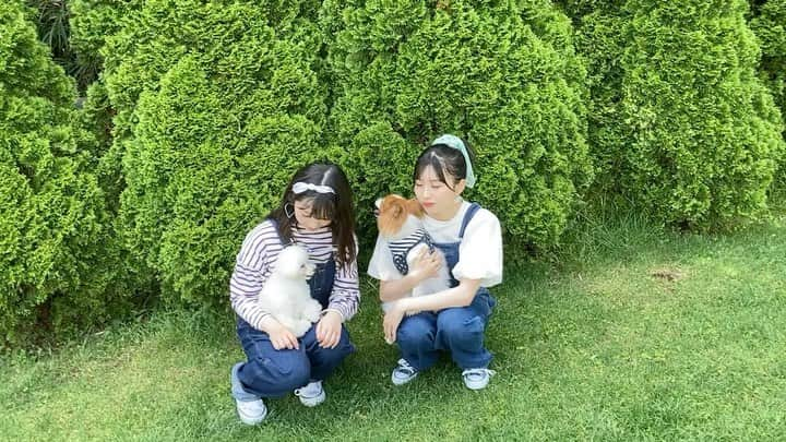 山岸理子のインスタグラム：「*.｡o♡ ⁡ りこ&きき&サンディ&チャーリー🐩🐶❤︎ ⁡ 24日のちばーずFCイベントの撮影風景📷💕 愛犬達も参加してくれたよ🐾໊ ⁡ ⁡ ⁡ #tsubaki_factory #山岸理子 #浅倉樹々 #ちばーず #撮影 #イッヌも参加 #かわいいね #チャーリー #サンディ #楽しすぎた ✌︎」