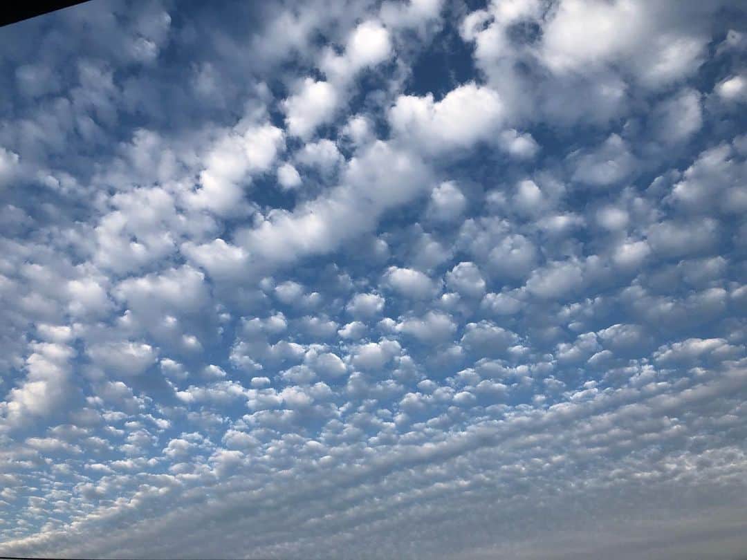 斉藤慶太のインスタグラム：「みなさまおつかれさまです！ 今日の夕方の雲、 何雲って言うのか分からないけど すごくきれいな雲でした☁️ 明日も頑張ろう‼︎‼︎ #雲#くも」