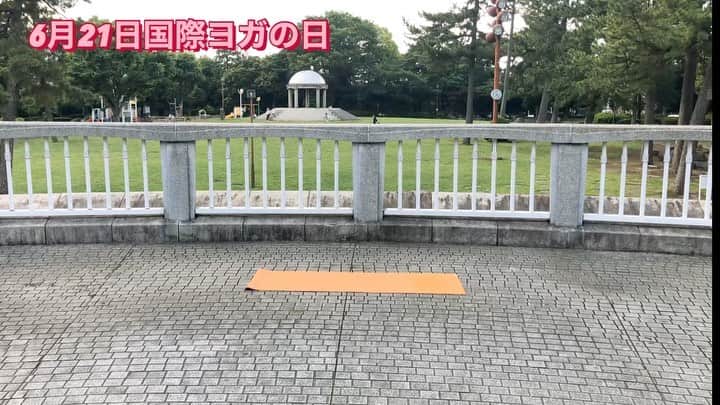 橋本紀代子のインスタグラム：「ヨガの日🧘‍♀️🧘‍♂️」
