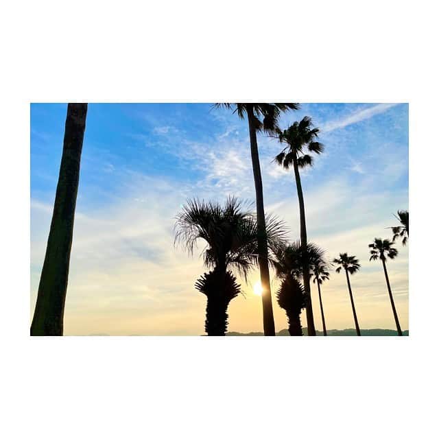 片山萌美のインスタグラム：「🌴🌴🌴  #定期的nature」