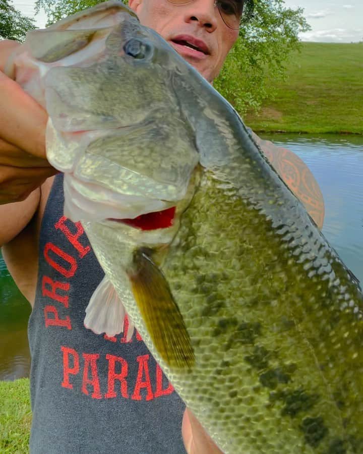 ドウェイン・ジョンソンのインスタグラム：「Raising fish and creating a healthy ecosystem for them brings me joy.  Largemouth bass, stripped bass (hybrid) and a variety of others - they’re big, aggressive and hungry - like their owner 🐟😉 Life is busy and noisy, so I love getting back to my Virginia farm - good for the soul.  #manafarms 🎣🐴 🥃 #gosdinonthejukebox #makeitadouble   (you’ll see I don’t like just tossin’ fish back in the water. Their system is already is shock and lactic acid has built up, so I ease em back in and help them get oxygen back in their lungs 👍🏾)」