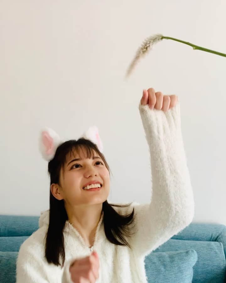 小坂菜緒のインスタグラム：「ねこじゃらしで遊ぶ #猫坂さん です🌱 お昼にTwitterにあげたものとはちょっと違う動画です！ ひかえめな猫パンチと真剣な眼差しが愛おしすぎます😍 #猫坂WEEK 開催中 #小坂菜緒は世界イチかわいい猫 #小坂菜緒1st写真集君は誰？ #小坂菜緒 #日向坂46」