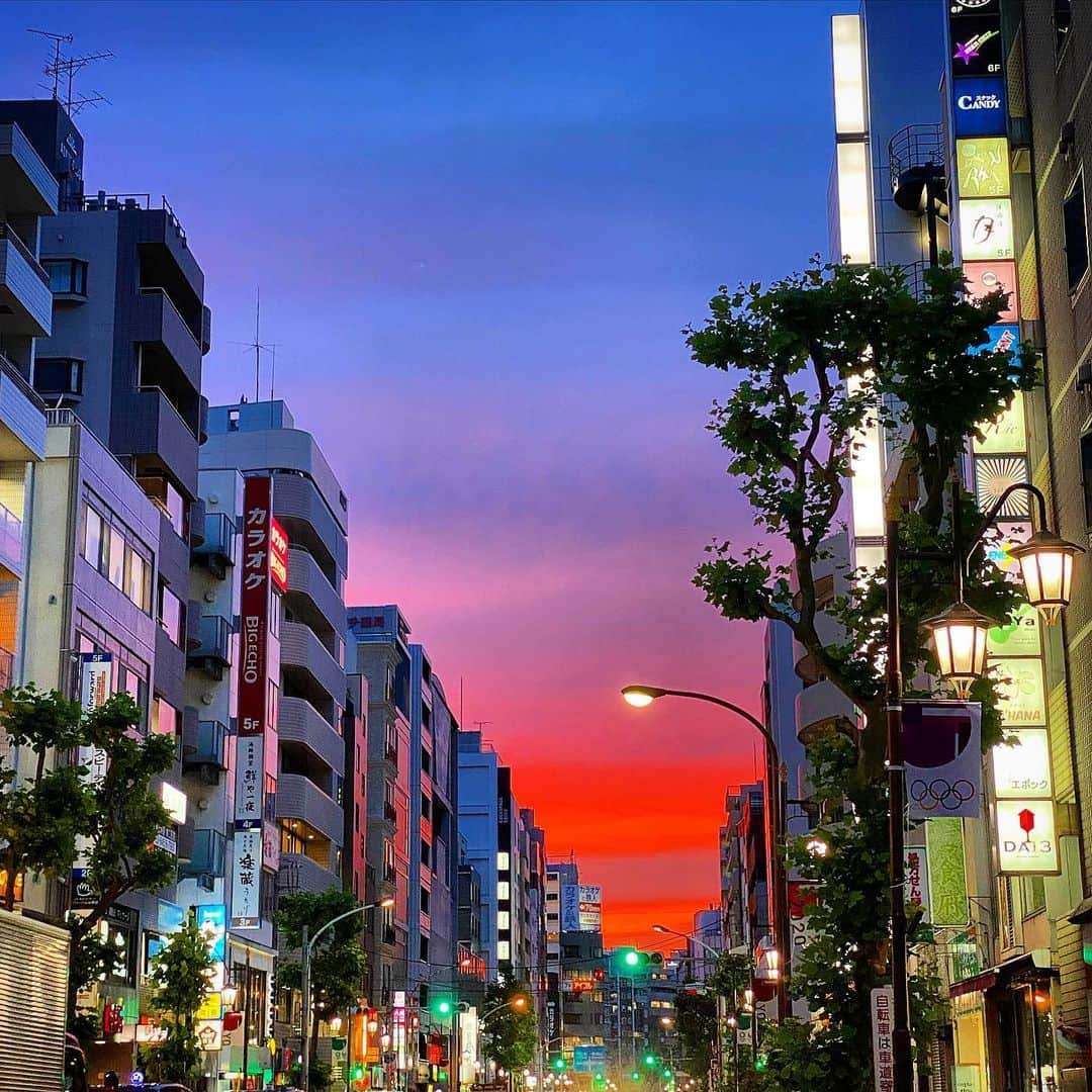 三谷紬さんのインスタグラム写真 - (三谷紬Instagram)「* いつぞやの夕日🌆 めちゃくちゃ綺麗で仕事終わりにパシャリ！ 夕日に目がいってしまいがちですが ポイントは信号の色🚥♡ ぜーんぶ青！！！ どんどん前に進みましょう〜！！ * #夕日#夕焼け#景色#🚥#信号#前へ#青#グラデーション#カラー#gradation#color#sky#空#夕方#テレビ朝日#アナウンサー#三谷紬」6月22日 20時11分 - mitani_tsumugi