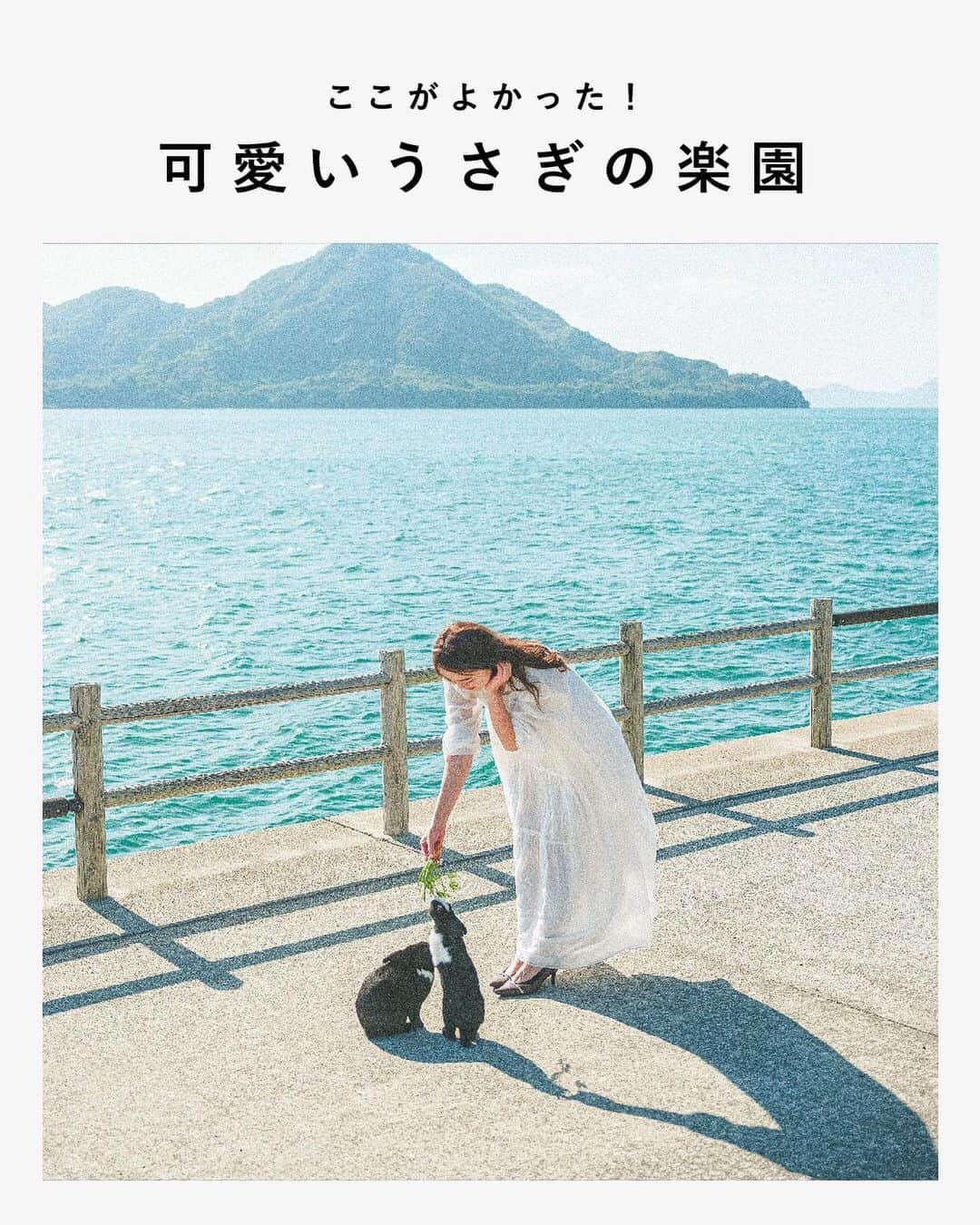 東京カメラガールズさんのインスタグラム写真 - (東京カメラガールズInstagram)「. 広島の『うさぎ島』を知っていますか🐰？  広島県竹原市の瀬戸内海に浮かぶ『大久野島』は、別名・うさぎ島と呼ばれ、まさにうさぎの楽園🐰💓  可愛いうさぎたちと穏やかな景色に囲まれている癒しの島。うさぎ島ならではのフォトスポットもあるので、訪れた際は存分に楽しんで癒されてくださいね☺️  ※繊細なうさぎたちなので、休暇村大久野島HPの『うさぎからみんなへのおねがい』を守って優しく触れ合いましょう。  . . #竹原カメラガールズ からも、カメラガールズが旅した竹原の景色をご覧いただくことができます📷✨  . . Attention✨ ※旅をする際はどうか新型コロナウイルス対策を。 ※撮影する際はマナーを大切に。 ※写真撮影時は一時的にマスクを外していますが、常に健康管理や感染対策は万全に、ガイドラインに従ってイベントを開催しています。 . . . #カメラガールズ#カメラ女子#カメラ旅#広島観光#竹原観光#うさぎ島#大久野島#うさぎ #旅が好きな人と繋がりたい #旅好き女子 #カメラ好きな人と繋がりたい #カメラ女子旅」6月22日 12時04分 - tokyocameragirls