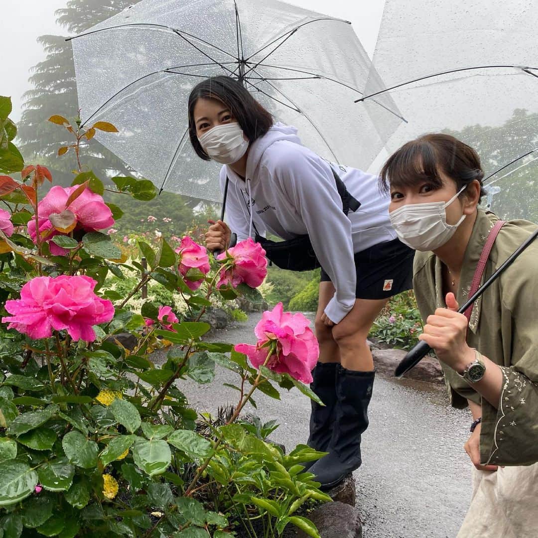 竹岡圭さんのインスタグラム写真 - (竹岡圭Instagram)「6月21日月曜日20時55分〜の「なかなか日本！〜高速道路DRIVE1バン旅〜」は、箱根強羅公園へ🤗  残念ながらこの日は雨模様でしたが、そのぶん薔薇の香りが華やかに立ち昇っていましたよーん🌹  ローズの香りっていちばんメジャーではあるけれど、甘かったり、爽やかだったり、いろいろな違いを楽しめました〜🤗 お茶室もステキ🙌お抹茶ってなんだかほっこりしますよね😆  『なかなか日本！〜高速道路DRIVE1バン旅〜』tvk（テレビ神奈川）毎週月曜日20時55分〜。tvk映らない方もYouTubeで観られますので、是非ご覧くださいねー❗️  ☀️YouTubeはこちら✨ストーリーズからスワイプアップで飛べるようにしておきますねー🙌 https://youtube.com/playlist?list=PLr4_STTzGB2VQscY6S53gJUWvzxRo2L6S  ☀️「なかなか日本！〜高速道路DRIVE1バン旅〜」のHPはこちら http://www.tvk-yokohama.com/naka_jpn/#」6月22日 12時10分 - kei_takeoka