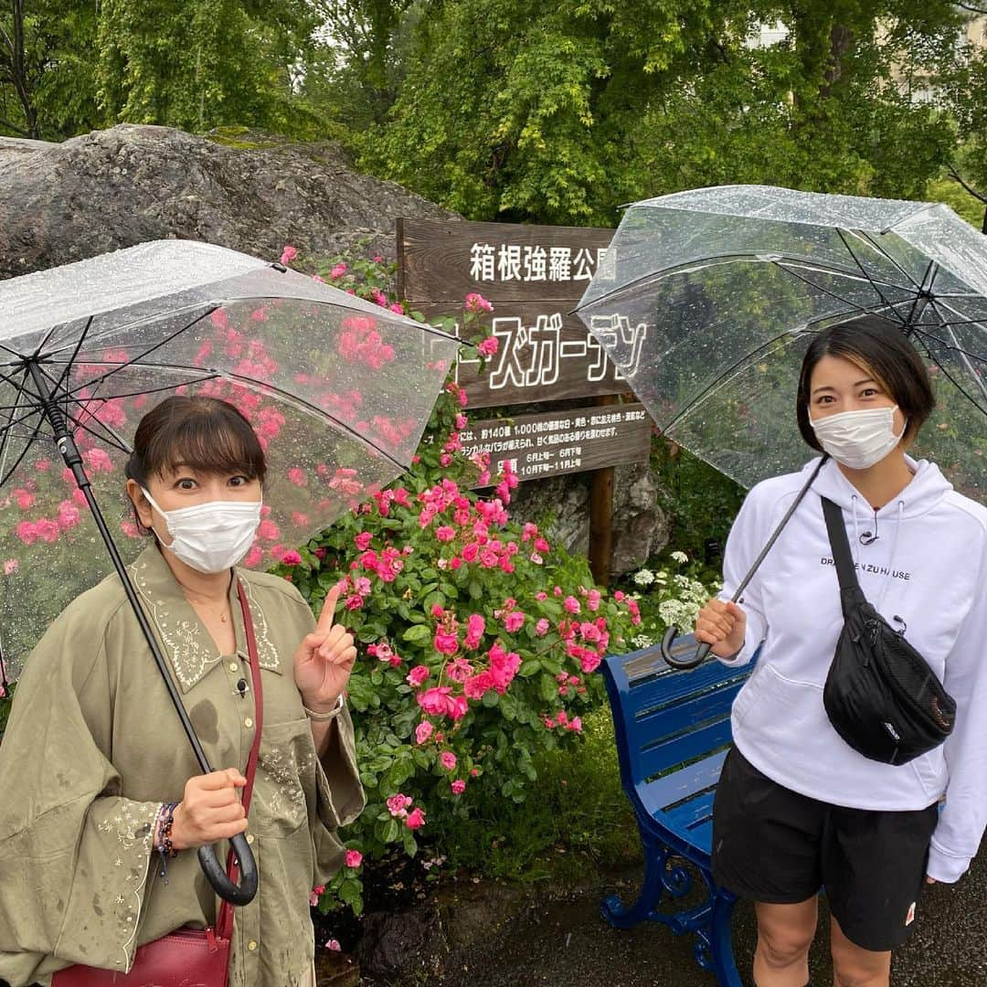 竹岡圭さんのインスタグラム写真 - (竹岡圭Instagram)「6月21日月曜日20時55分〜の「なかなか日本！〜高速道路DRIVE1バン旅〜」は、箱根強羅公園へ🤗  残念ながらこの日は雨模様でしたが、そのぶん薔薇の香りが華やかに立ち昇っていましたよーん🌹  ローズの香りっていちばんメジャーではあるけれど、甘かったり、爽やかだったり、いろいろな違いを楽しめました〜🤗 お茶室もステキ🙌お抹茶ってなんだかほっこりしますよね😆  『なかなか日本！〜高速道路DRIVE1バン旅〜』tvk（テレビ神奈川）毎週月曜日20時55分〜。tvk映らない方もYouTubeで観られますので、是非ご覧くださいねー❗️  ☀️YouTubeはこちら✨ストーリーズからスワイプアップで飛べるようにしておきますねー🙌 https://youtube.com/playlist?list=PLr4_STTzGB2VQscY6S53gJUWvzxRo2L6S  ☀️「なかなか日本！〜高速道路DRIVE1バン旅〜」のHPはこちら http://www.tvk-yokohama.com/naka_jpn/#」6月22日 12時10分 - kei_takeoka