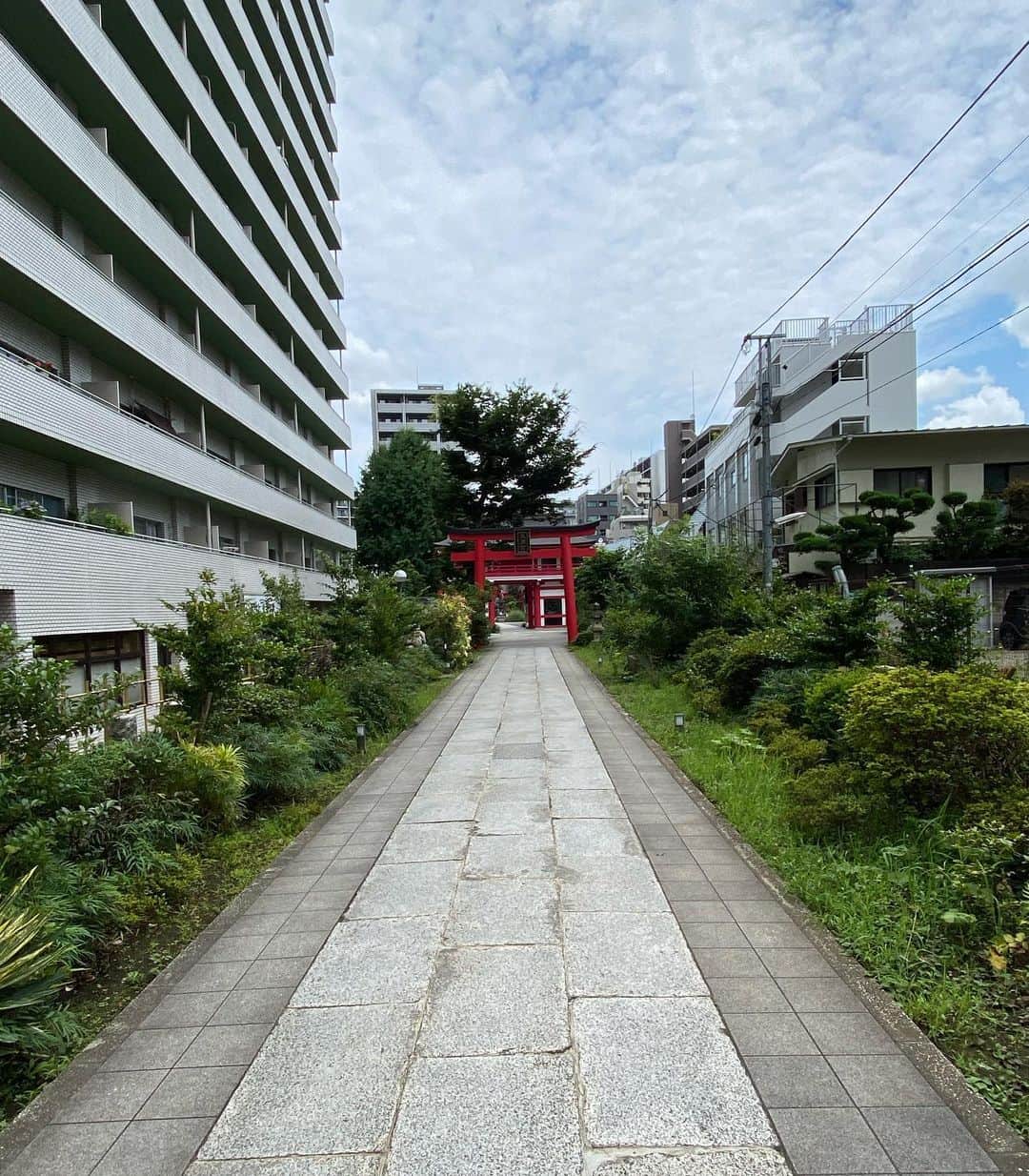 じろうさんのインスタグラム写真 - (じろうInstagram)「新宿にこんな神社あるの知らなかった。 マンションと割とでかめの神社が同じ敷地内にあった。横の道にある中陣っていううどん屋の面構えが最高だった。」6月22日 12時16分 - sissonne_jiro