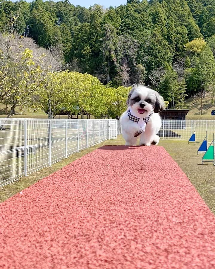 みき みーやんのインスタグラム