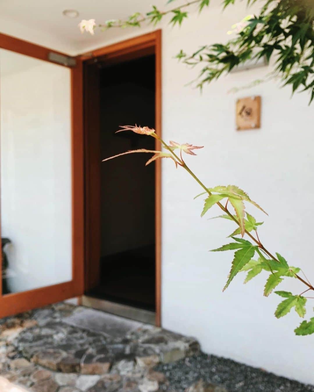 urakoのグルメインスタ