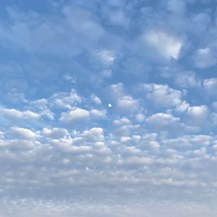 山川春奈のインスタグラム：「月が雲に隠れる瞬間  #夏至　#nofilter  #雲の速度」