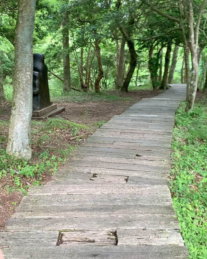 中谷愛のインスタグラム：「🌳🪵🍃 今日発売のblock check setup ぜひcheckしてみてくださいな。  それにしても緑って癒されるぅ🥱 @lit_offi」