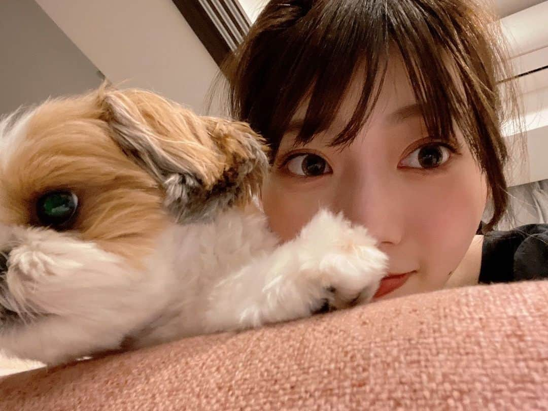 高本彩花のインスタグラム：「⊿ カメラ目線のちぇりちゃん見たことない🐶 ⊿ ⊿  #勝たんしか高本彩花ちゃん #高本彩花 #おたけ #日向坂46  #日向坂46好きな人と繋がりたい  #日向坂46推し #ayakatalk #あやちぇり #あやちぇりぐらむ #あやちー #高本彩花推しと繋がりたい #高本彩花推し #高本彩花好きな人と繋がりたい #アイドル #かわいい #美人 #美少女 #美女」