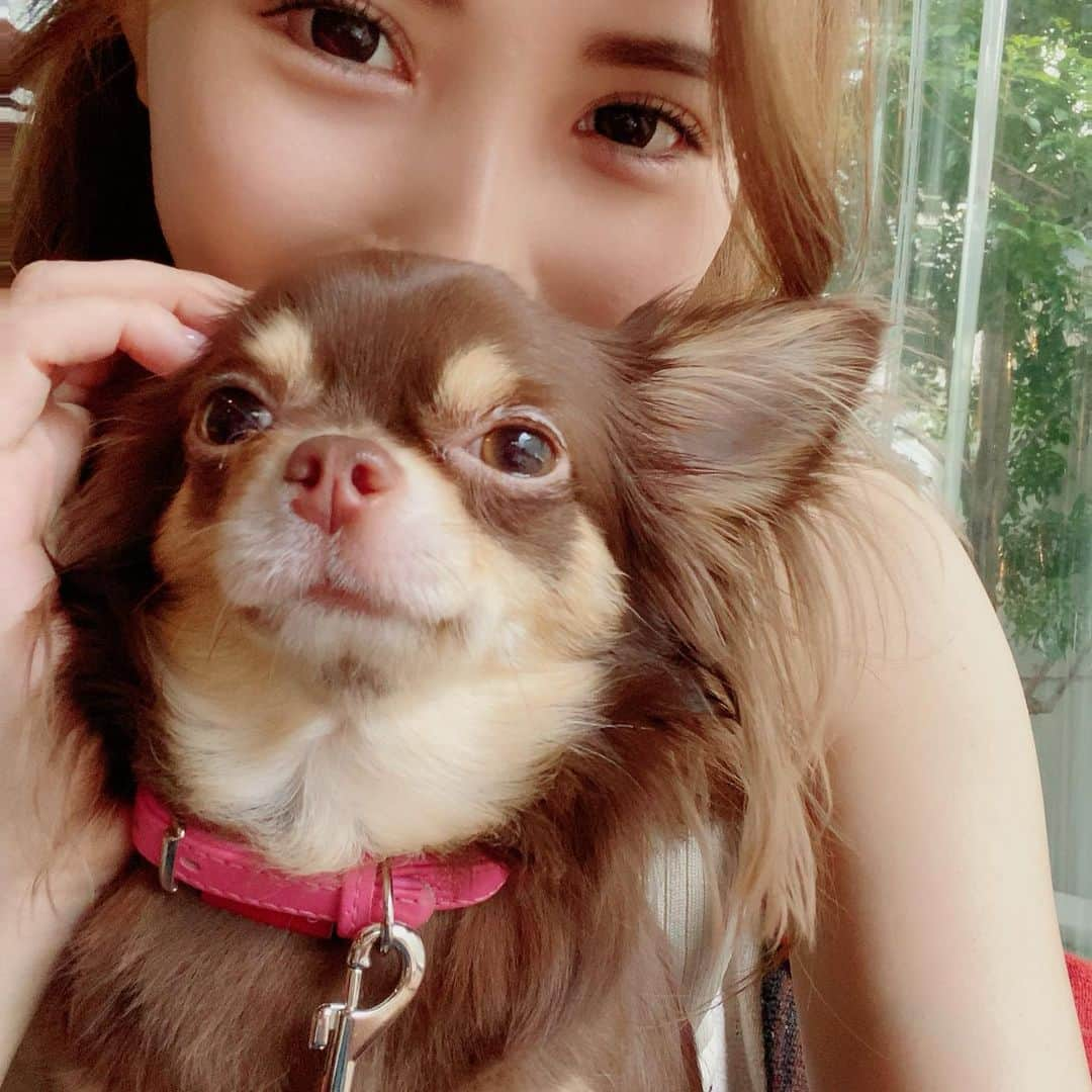 空陸海ゆきなさんのインスタグラム写真 - (空陸海ゆきなInstagram)「ウラン可愛い🐶❤️」6月22日 16時58分 - yukinamilk